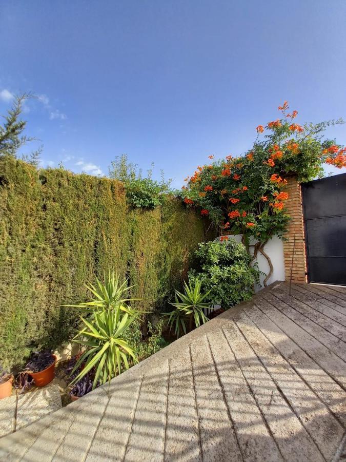 Villa Casa Rural Xauen Belicena Exterior foto